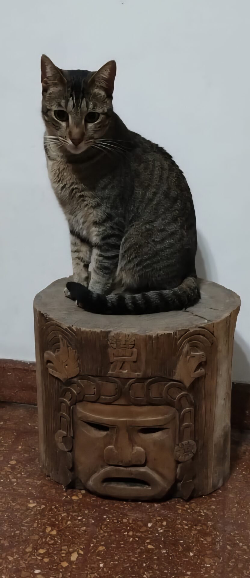 Lucas Lionel ( chiquito)