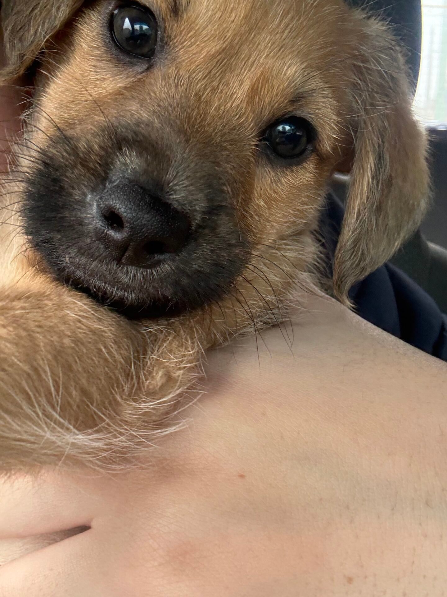 Milo